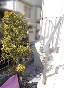 スタイリッシュな大型カーポートの取付工事